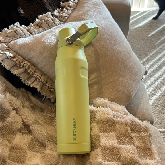 Stanley Other - Stanley Mint Green Insulated Bottle